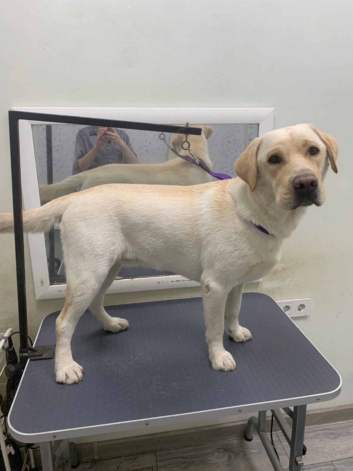 Наши работы